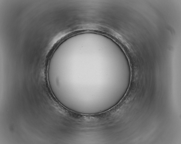 X0000112081312200908251055