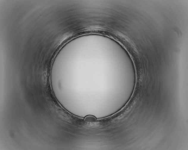 X0000112081313200908251055