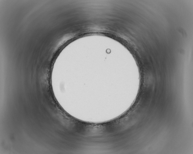 X0000112081314200908251055