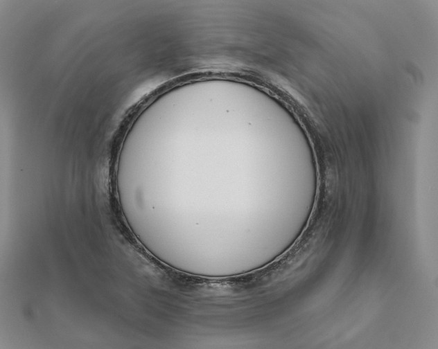 X0000112081315200908251055