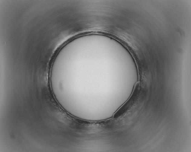 X0000112081316200908251055