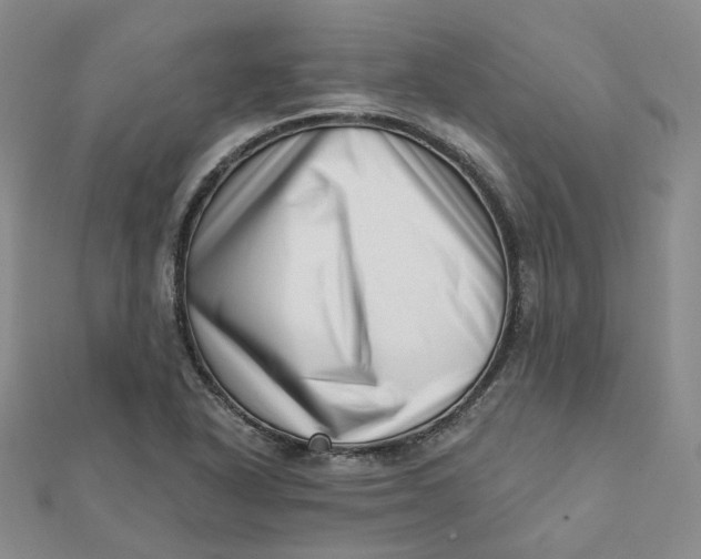 X0000112081318200908251055