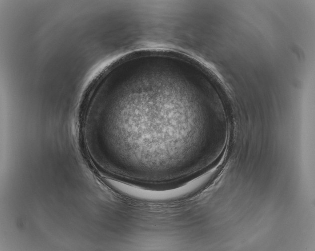 X0000112081319200908251055