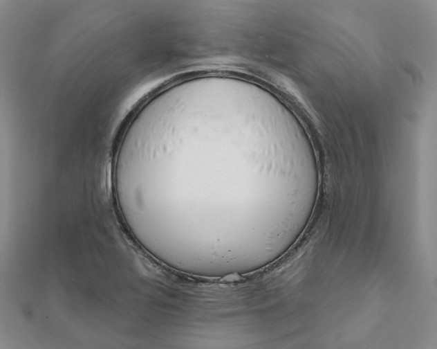 X0000112081320200908251055