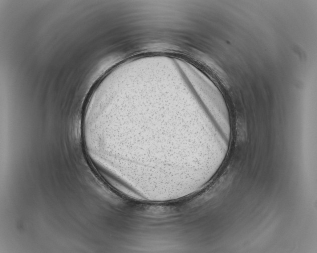 X0000112081322200908251056