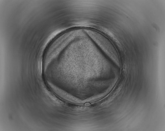 X0000112081323200908251056