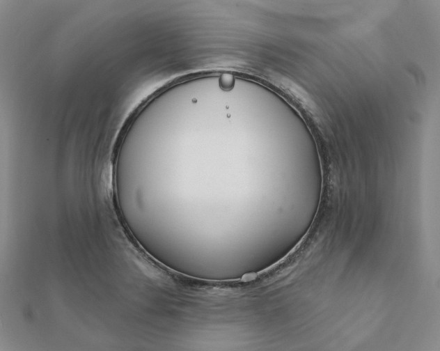 X0000112081324200908251056