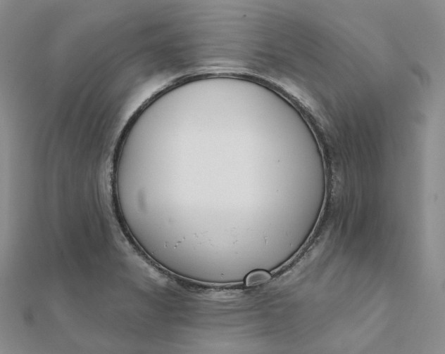 X0000112081325200908251056