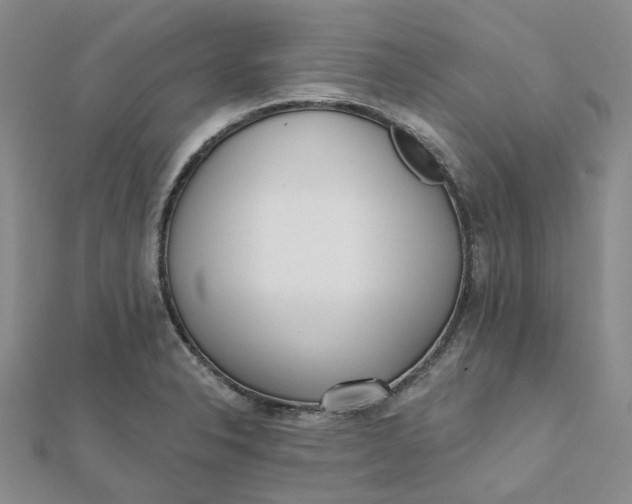 X0000112081326200908251056