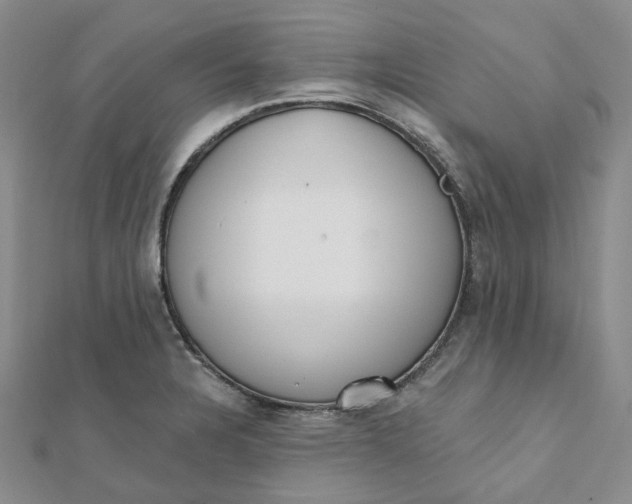 X0000112081328200908251056