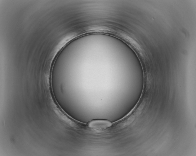 X0000112081330200908251056