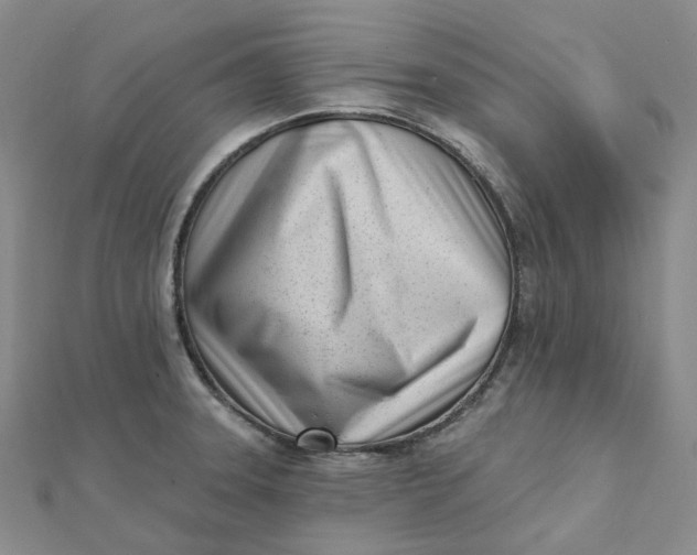 X0000112081331200908251056