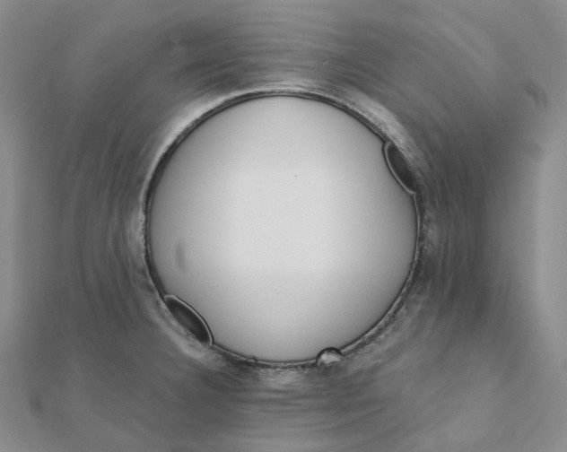 X0000112081332200908251056