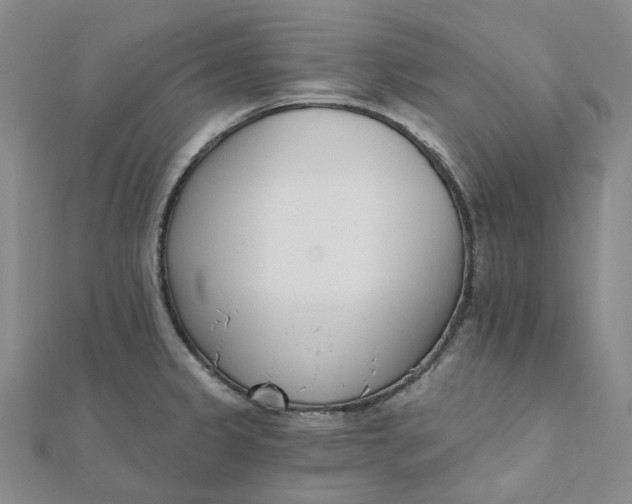 X0000112081333200908251056