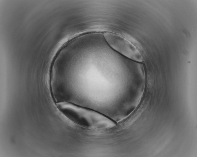 X0000112081334200908251056