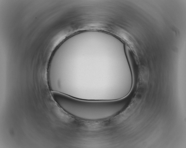 X0000112081336200908251056