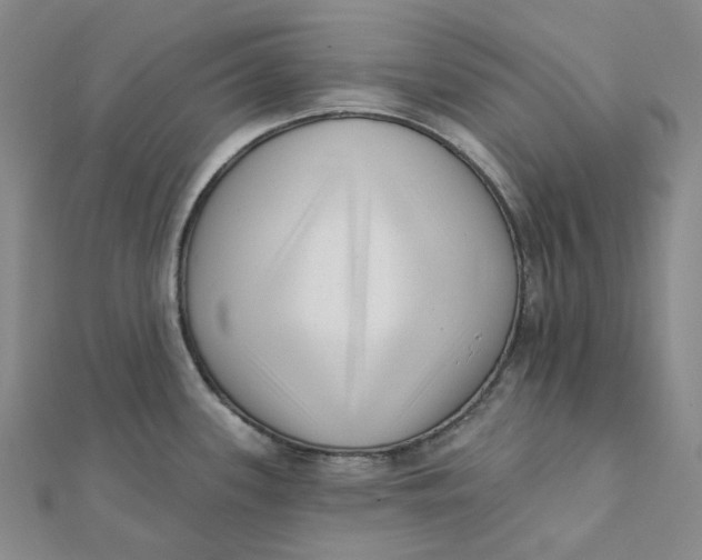 X0000112081339200908251056