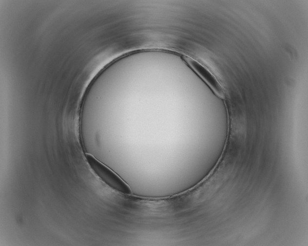 X0000112081340200908251056