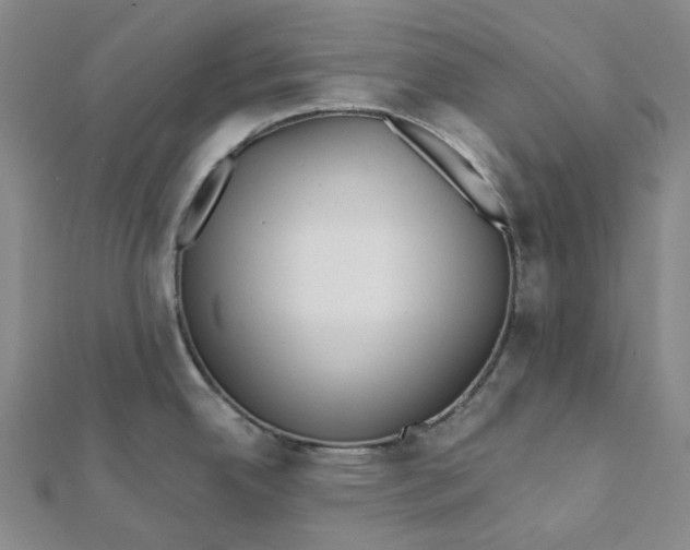 X0000112081342200908251056