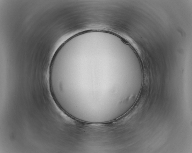 X0000112081343200908251056