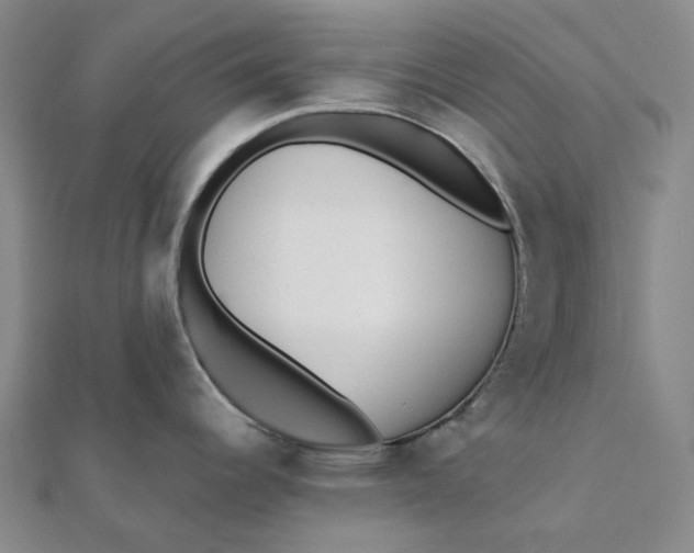 X0000112081344200908251056