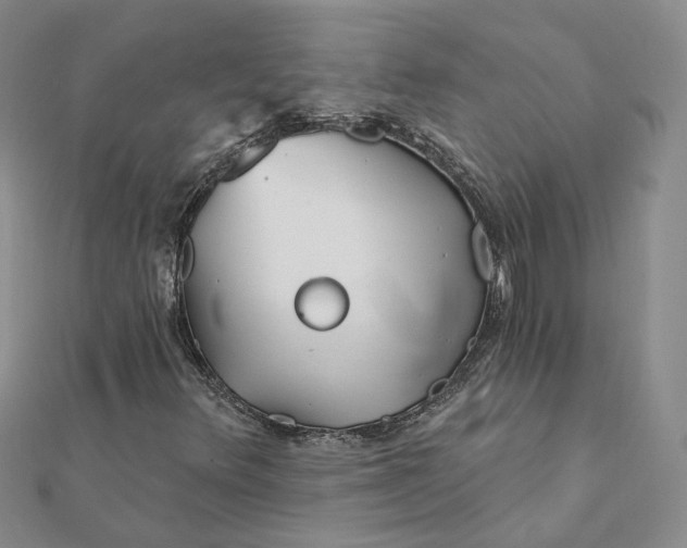 X0000112081348200908251055