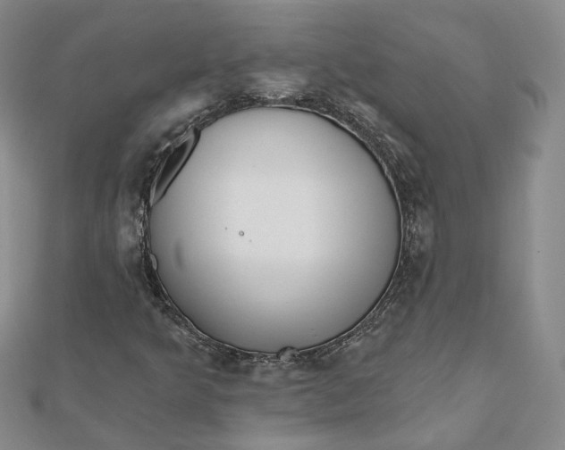 X0000112081349200908251055