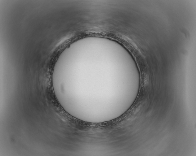 X0000112081350200908251055