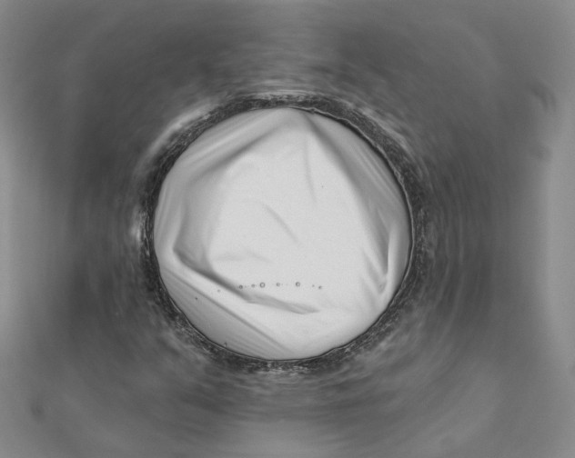 X0000112081351200908251055