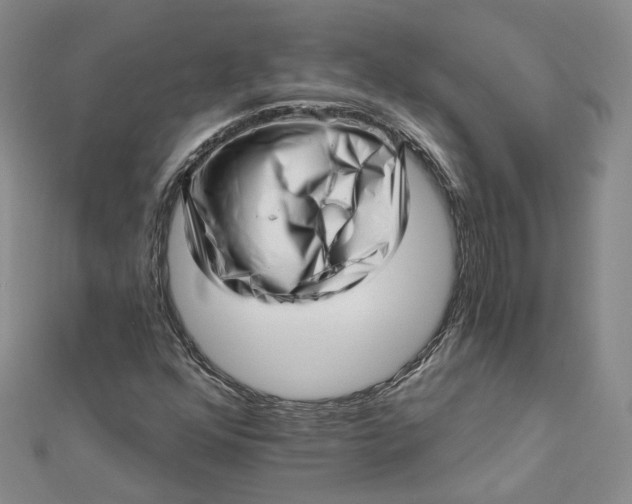 X0000112081352200908251055