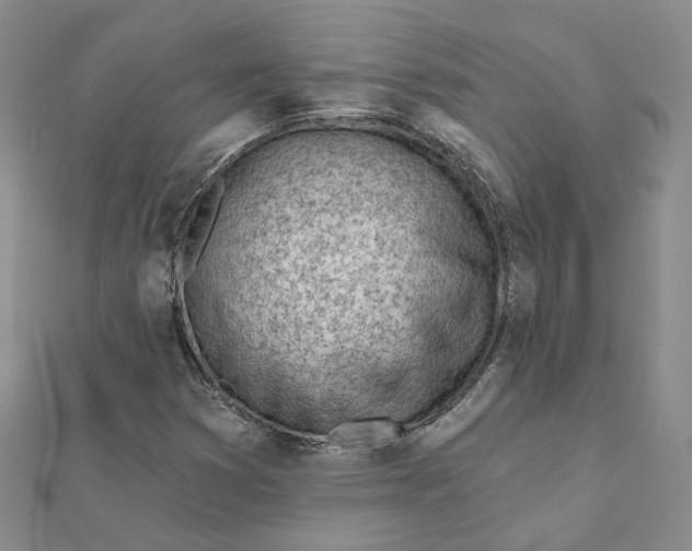 X0000112081353200908251055