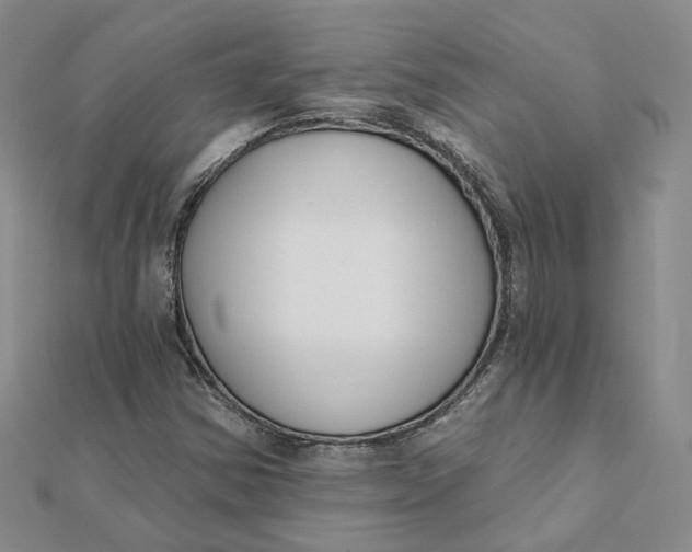 X0000112081354200908251055