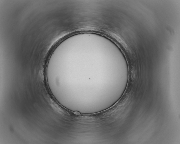 X0000112081356200908251055