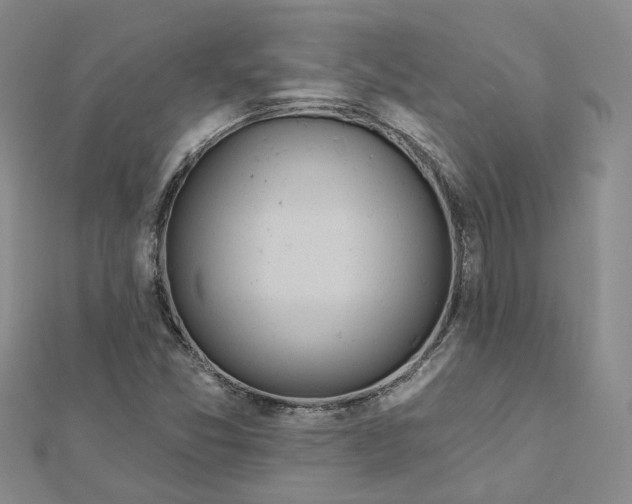 X0000112081357200908251055