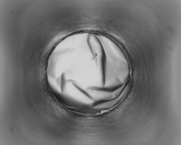 X0000112081359200908251055