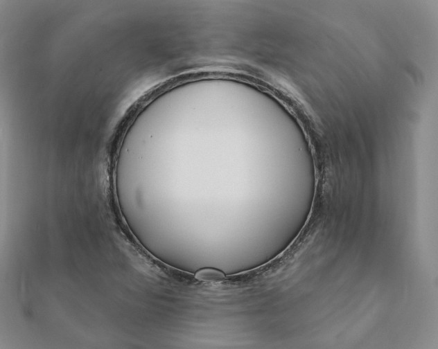 X0000112081360200908251055