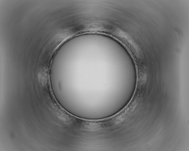 X0000112081361200908251055