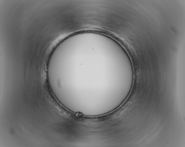 X0000112081363200908251055