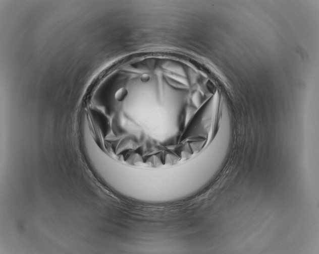 X0000112081364200908251055