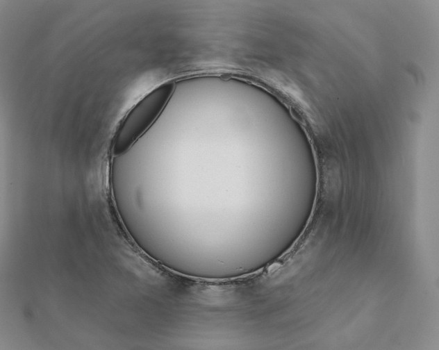 X0000112081365200908251055