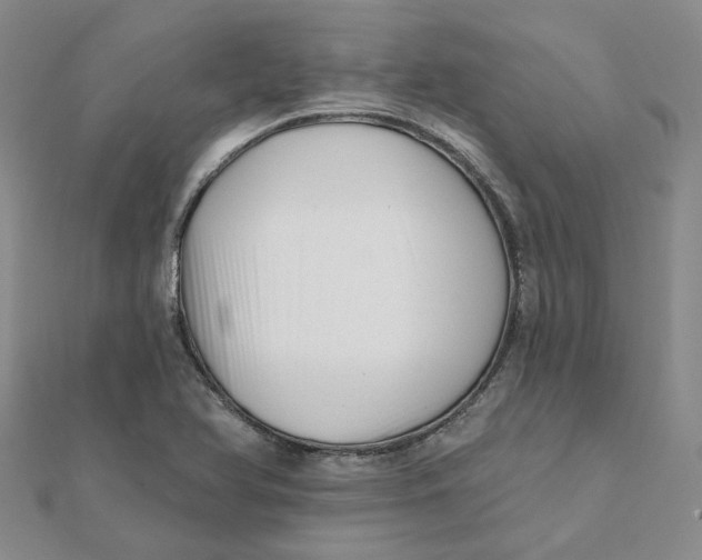 X0000112081366200908251055