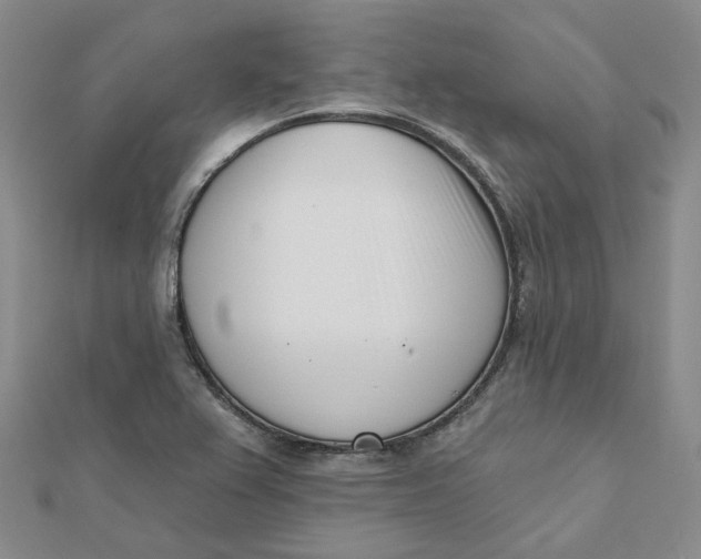 X0000112081367200908251055