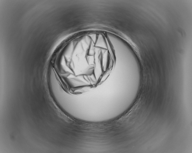 X0000112081368200908251055