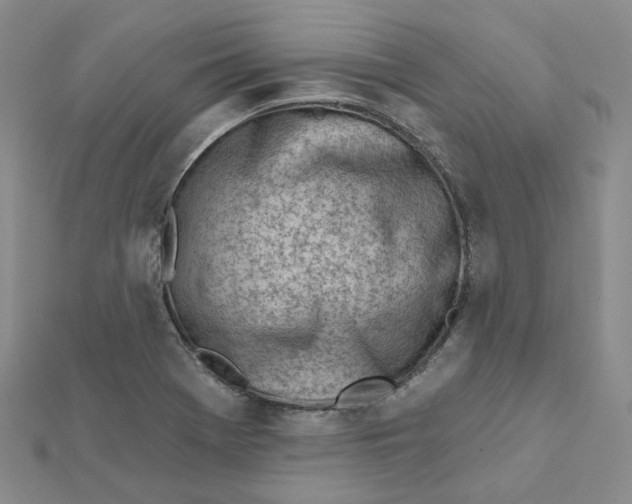 X0000112081369200908251055