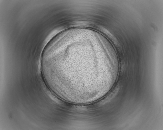 X0000112081370200908251055