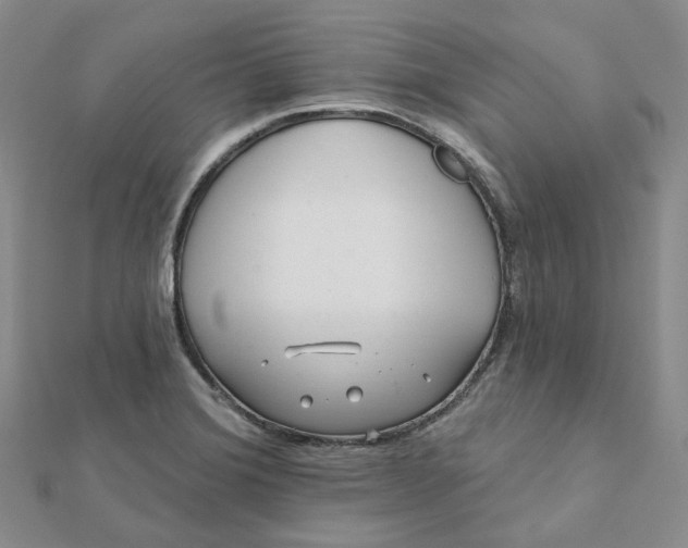 X0000112081372200908251055