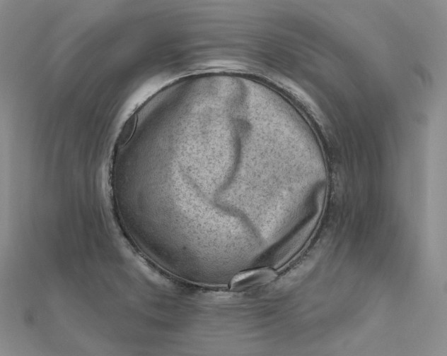 X0000112081373200908251055