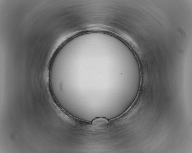 X0000112081376200908251055