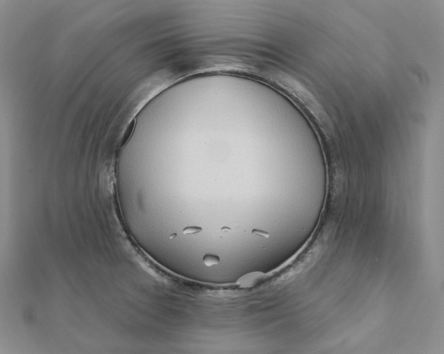 X0000112081377200908251055