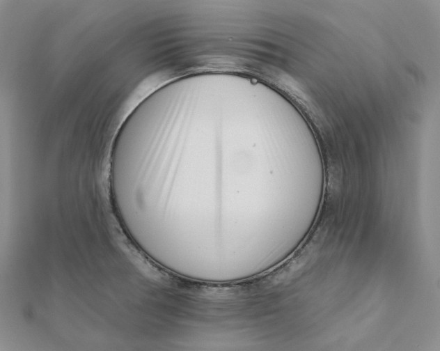 X0000112081378200908251055